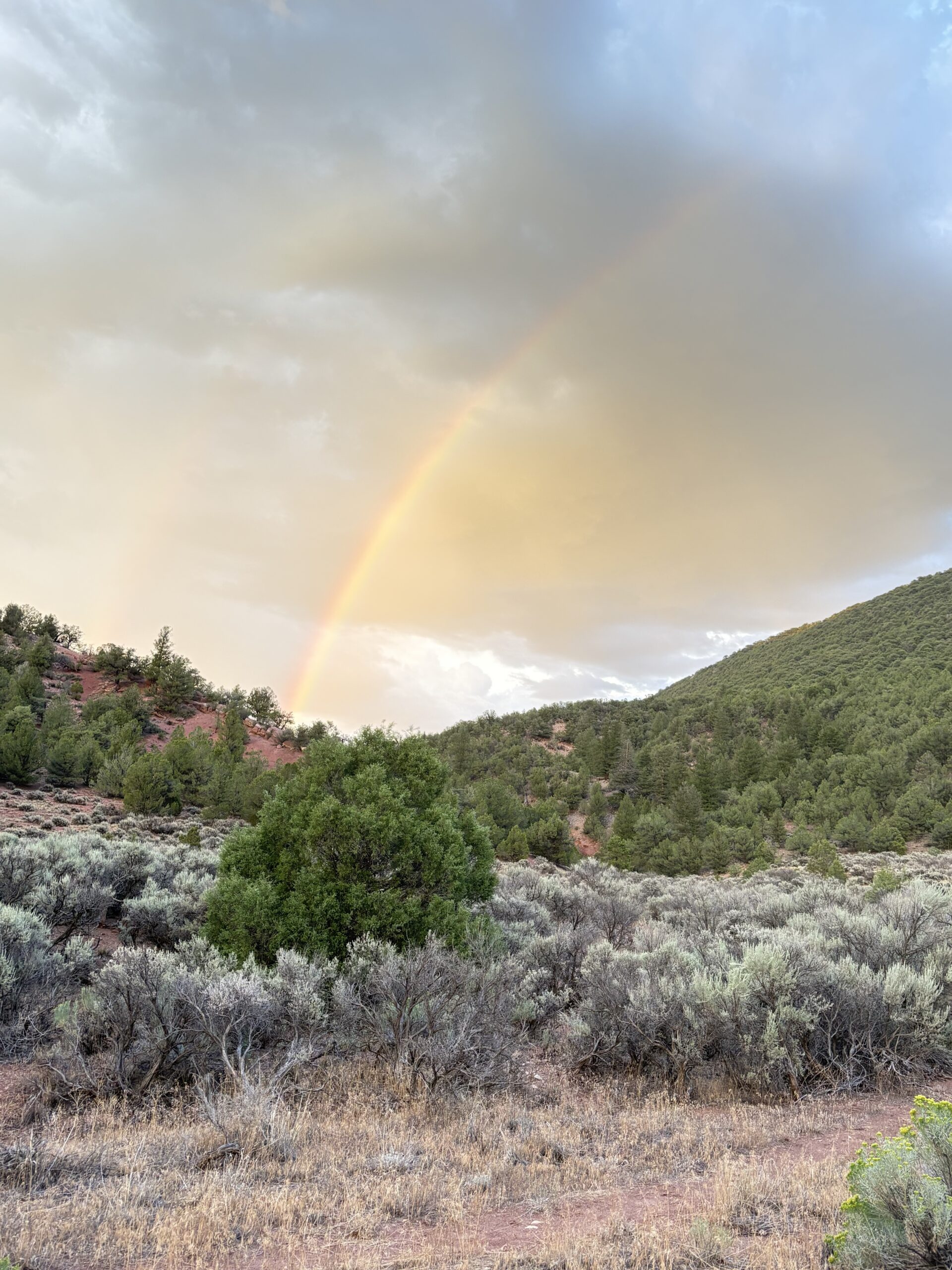 Rainbow over a Colorado mountain valley