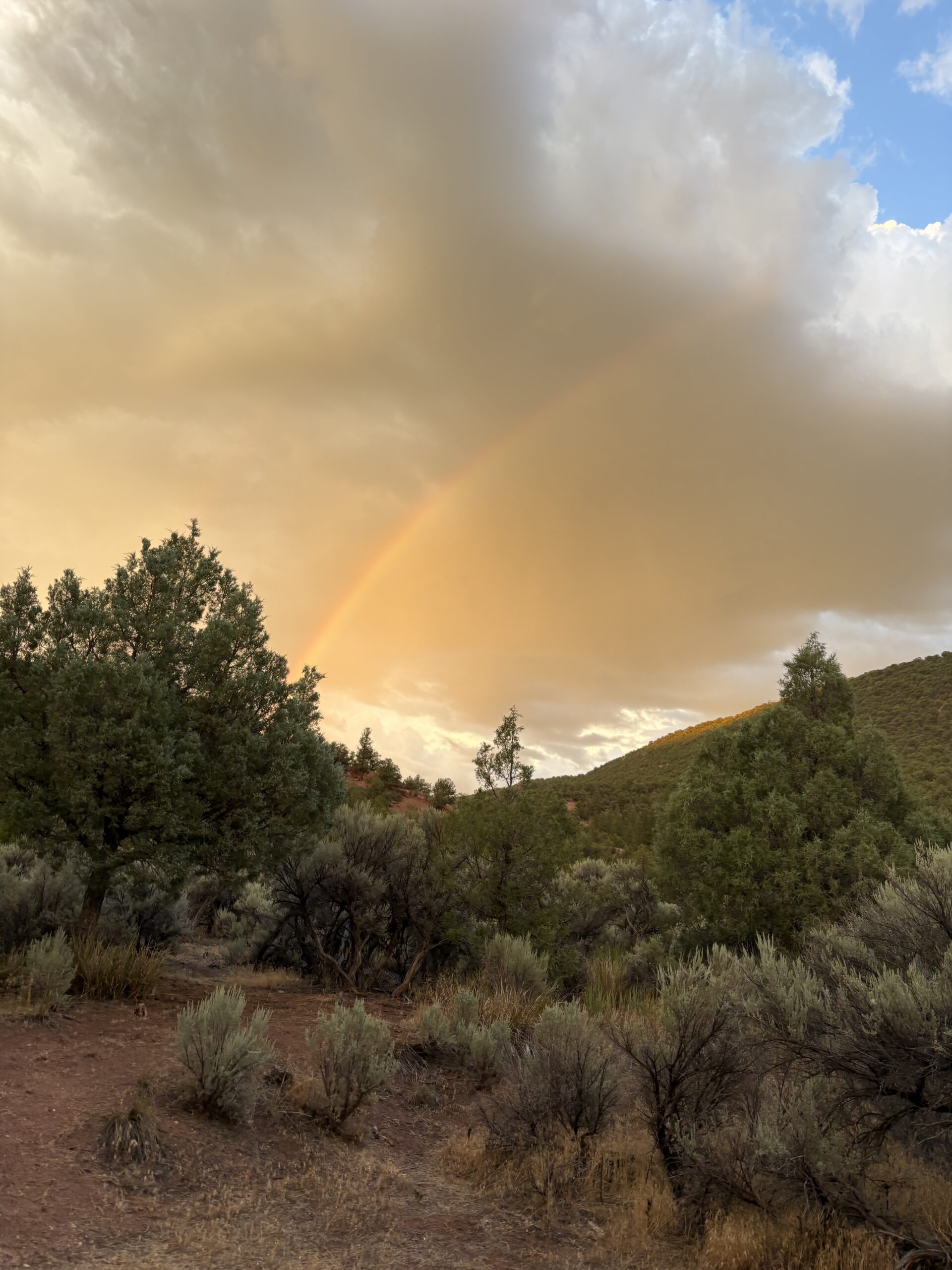 Golden sky and rainbow over the Colorado mountains