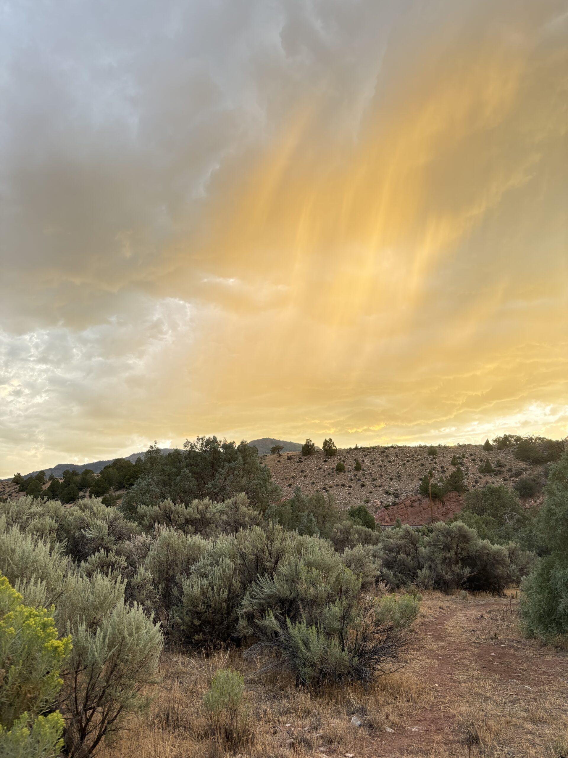 Colorado mountain landscape at sunset