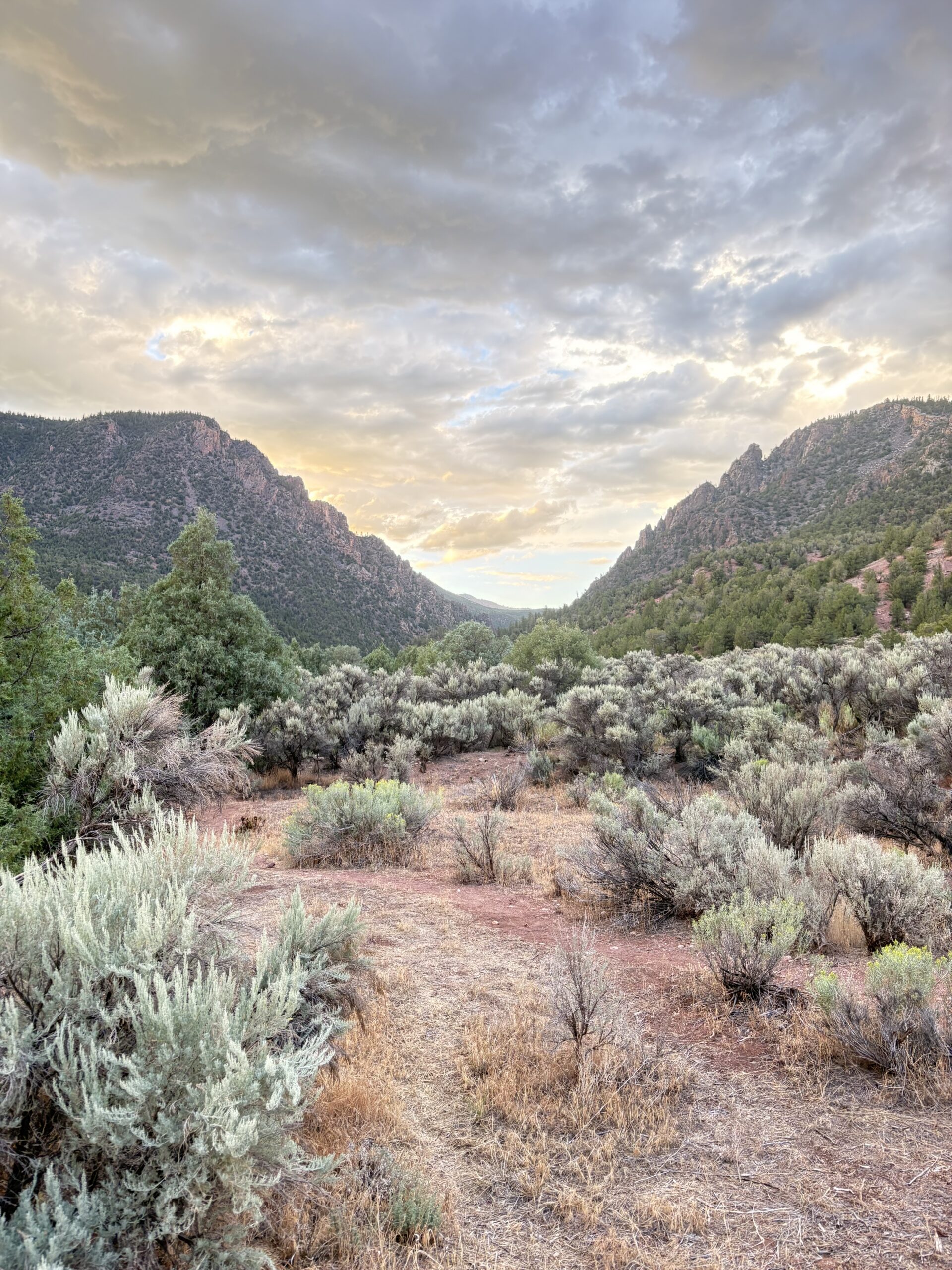 Colorado mountain valley beneath a dramatic sky
